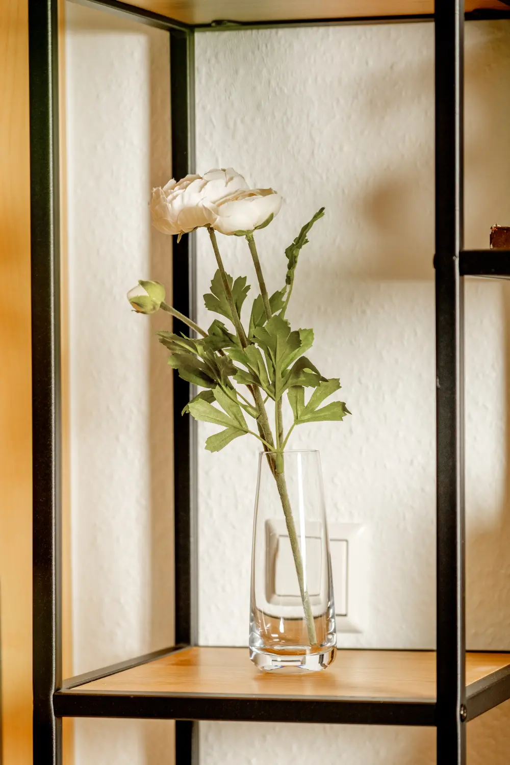 HAMA Design Homes - Ferienwohnung Paderborn - Blumentopf